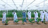 His Highness Sheikh Mohammed bin Rashid Al Maktoum-News-Mohammed bin Rashid chairs UAE Cabinet meeting in Al Marmoom, launches Plant the Emirates programme