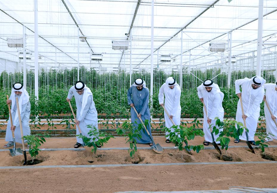 His Highness Sheikh Mohammed bin Rashid Al Maktoum-News-Mohammed bin Rashid chairs UAE Cabinet meeting in Al Marmoom, launches Plant the Emirates programme