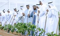 His Highness Sheikh Mohammed bin Rashid Al Maktoum-News-Mohammed bin Rashid chairs UAE Cabinet meeting in Al Marmoom, launches Plant the Emirates programme