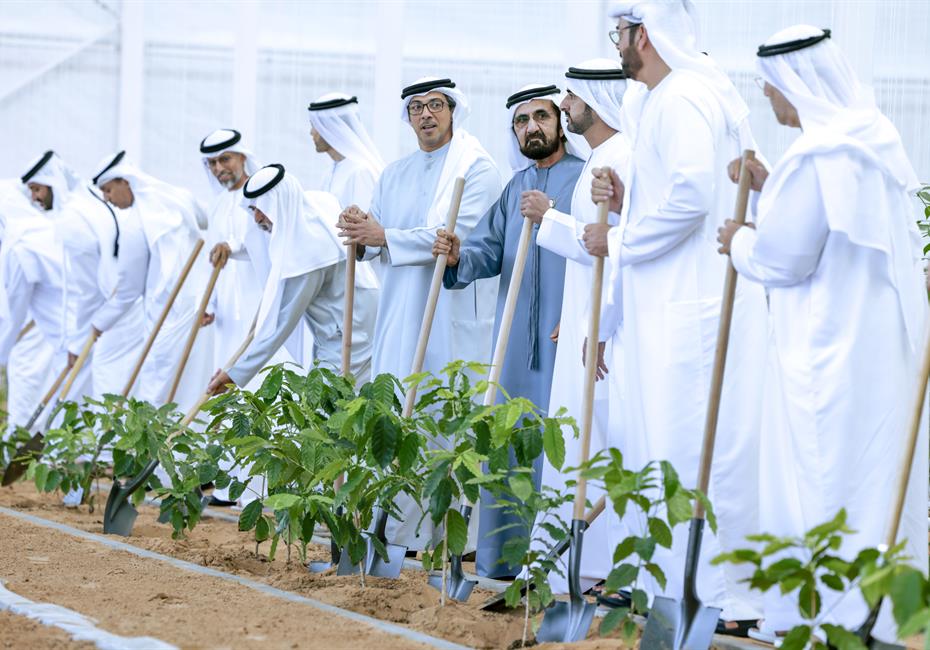 His Highness Sheikh Mohammed bin Rashid Al Maktoum-News-Mohammed bin Rashid chairs UAE Cabinet meeting in Al Marmoom, launches Plant the Emirates programme