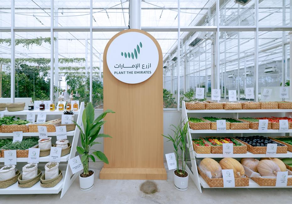 His Highness Sheikh Mohammed bin Rashid Al Maktoum-News-Mohammed bin Rashid chairs UAE Cabinet meeting in Al Marmoom, launches Plant the Emirates programme