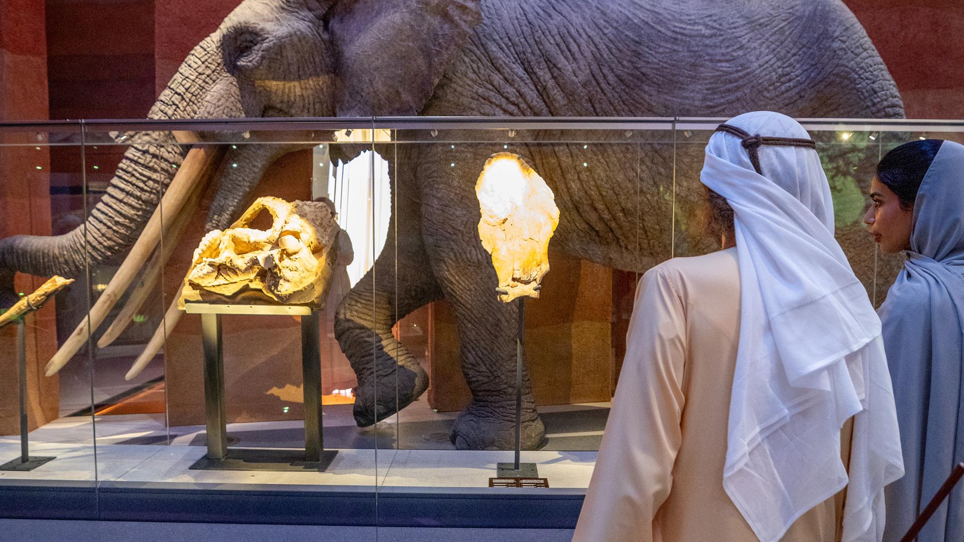 Mohammed bin Rashid visits Natural History Museum Abu Dhabi